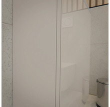 Modernes helles Badezimmer mit einem hohen weißen Schrank, einer Glastrennwand mit Blick auf ein Wand-WC und einem silbernen Treteimer.