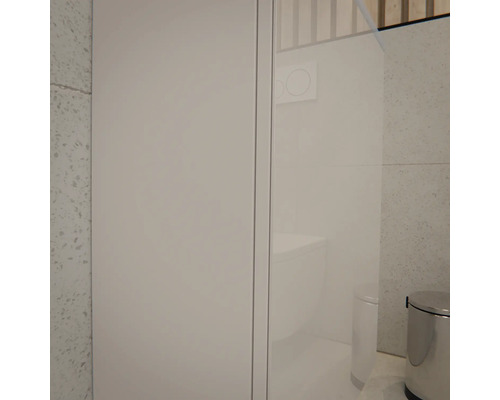 Modernes helles Badezimmer mit einem hohen weißen Schrank, einer Glastrennwand mit Blick auf ein Wand-WC und einem silbernen Treteimer.
