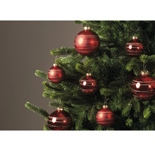 Rote Weihnachtskugeln mit goldenen Glitzerstreifen an einem geschmückten Christbaum.