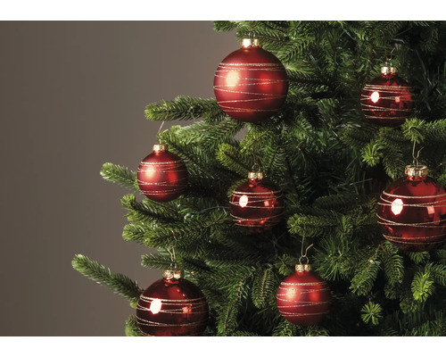 Rote Weihnachtskugeln mit goldenen Glitzerstreifen an einem geschmückten Christbaum.