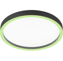 Runde LED-Deckenleuchte mit schwarzem Rahmen, weißem Diffusor und grünem Leuchtring.
