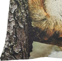 Dekokissen mit naturgetreuem Druck eines Eichhörnchens an einem Baumstamm
