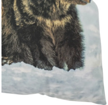 Dekokissen mit Bärenmotiv im Schnee als detailreicher Fotodruck