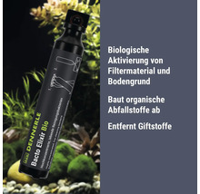 Dennerle Bacto Elixir Bio Aquarium Bakterienstarter zur biologischen Aktivierung von Filtermaterial und Bodengrund in einer Flasche.