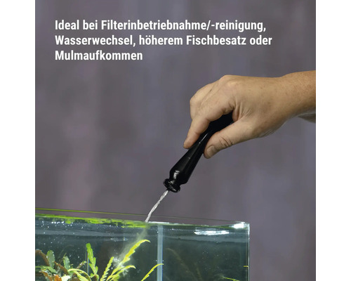 Hand eines Menschen, die einen Bakterienstarter in ein Aquarium dosiert, um die Wasserqualität bei Filterreinigung oder Besatz zu unterstützen.