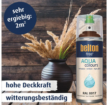 Belton Free Aqua Colours Lackspray in Schokoladenbraun fuer hohe Deckkraft und Witterungsbestaendigkeit mit zwei Quadratmeter Ergiebigkeit.