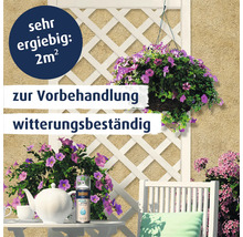 Belton Aqua Grundierung Spraydose vor weißer Rankhilfe auf Terrasse mit Blumen und Gartentisch