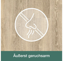 Symbol für einen geruchsarmen Bodenbelag auf einer Holzoberfläche