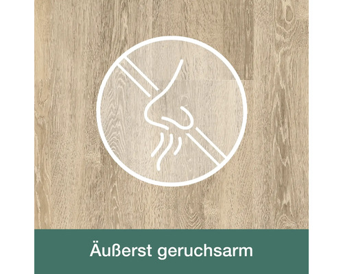 Symbol für einen geruchsarmen Bodenbelag auf einer Holzoberfläche
