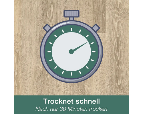 Stoppuhr Symbol als Zeichen für kurze Trocknungszeit von 30 Minuten für Anstriche oder Lacke