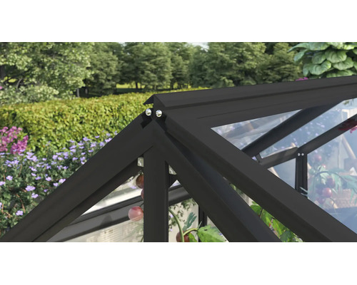 Detailansicht des Dachfirsts eines Gewächshauses mit dunklem Aluminiumrahmen und transparenter Verglasung vor Gartenkulisse.