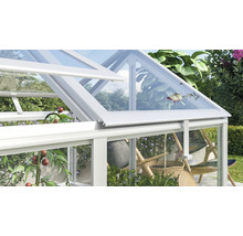 Geöffnetes Dachfenster eines Gewächshauses mit Aluminiumrahmen und Glasscheiben, mit Blick auf Gartenpflanzen und Tomaten.