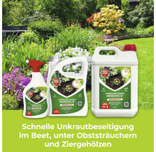 Drei Flaschen Protect Garden Permaclean Express Unkrautfrei AF vor einem Gartenhintergrund zur schnellen Unkrautbekämpfung in Beeten.