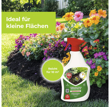 Permaclean Express Unkrautfrei AF Sprühflasche zur Unkrautbekämpfung auf kleinen Flächen für 10 Quadratmeter vor einem blühenden Blumenbeet.