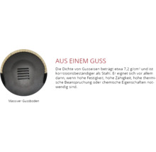 Infografik über die Materialeigenschaften von massivem Gusseisen mit Informationen zur Dichte und Korrosionsbeständigkeit für Kaminöfen.