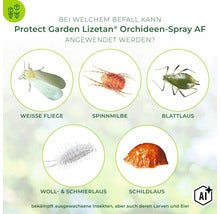 Infografik zeigt Schädlinge wie Weiße Fliege, Spinnmilbe, Blattlaus, Woll- und Schmierlaus sowie Schildlaus für Protect Garden Lizetan Orchideen Spray (Image AI modified or generated)