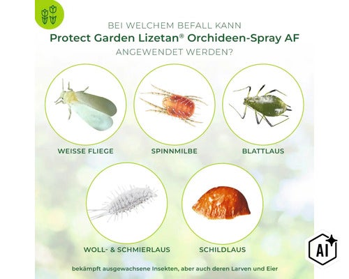 Infografik zeigt Schädlinge wie Weiße Fliege, Spinnmilbe, Blattlaus, Woll- und Schmierlaus sowie Schildlaus für Protect Garden Lizetan Orchideen Spray (Image AI modified or generated)