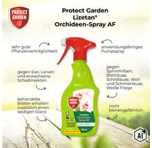 Protect Garden Lizetan Orchideen-Spray AF 500 Milliliter Pumpzerstäuber gegen saugende und beißende Schädlinge an Orchideen. (Image AI modified or generated)