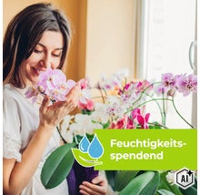 Eine Frau riecht an einer blühenden Orchidee neben einem Fenster, Symbol für Feuchtigkeitsspendend. (Image AI modified or generated)