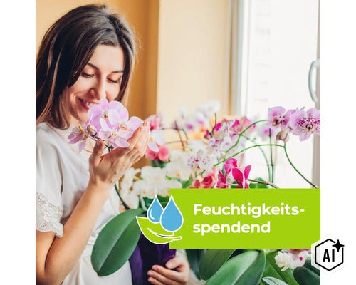 Eine Frau riecht an einer blühenden Orchidee neben einem Fenster, Symbol für Feuchtigkeitsspendend. (Image AI modified or generated)