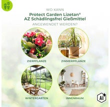 Anwendungsgebiete für Protect Garden Lizetan AZ Schädlingsfrei Gießmittel auf Pflanzen im Ziergarten, Innenbereich und Wintergarten. (Image AI modified or generated)