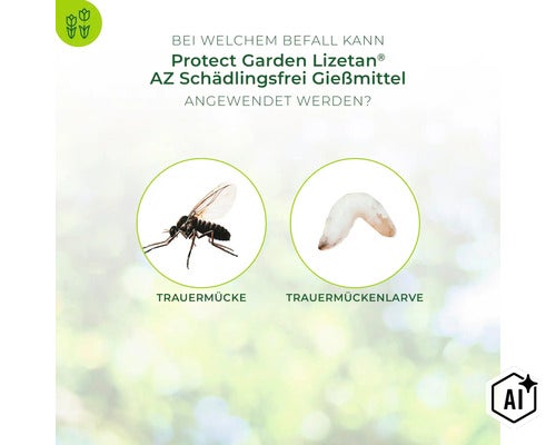 Infografik zeigt Trauermücke und Trauermückenlarve als Zielorganismen für Protect Garden Lizetan AZ Schädlingsfrei Gießmittel. (Image AI modified or generated)