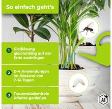 Anleitung zur Anwendung eines Mittels gegen Trauermücken an Zimmerpflanzen mit Gießlösung in drei Schritten (Image AI modified or generated)