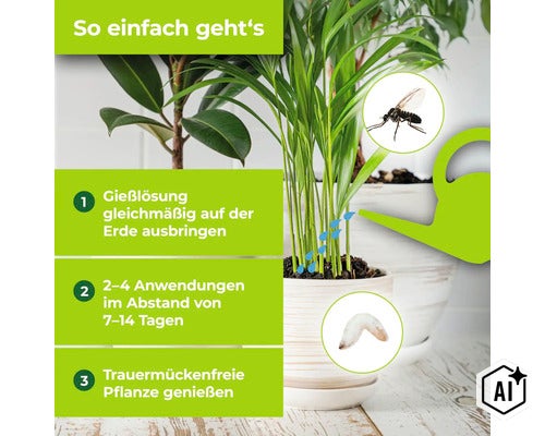 Anleitung zur Anwendung eines Mittels gegen Trauermücken an Zimmerpflanzen mit Gießlösung in drei Schritten (Image AI modified or generated)