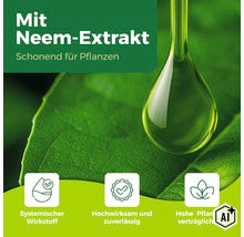 Grafik mit Neemextrakt für Pflanzenschutz mit Symbolen für systemische Wirkung, hohe Wirksamkeit und Pflanzenverträglichkeit. (Image AI modified or generated)