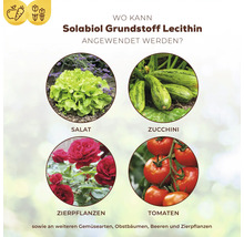 Infografik zur Anwendung von Solabiol Grundstoff Lecithin bei Salat, Zucchini, Zierpflanzen und Tomaten im Garten.