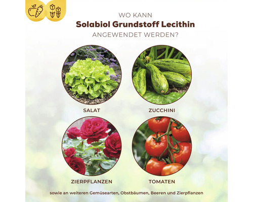 Infografik zur Anwendung von Solabiol Grundstoff Lecithin bei Salat, Zucchini, Zierpflanzen und Tomaten im Garten.