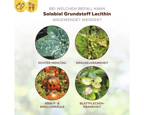 Infografik zeigt Anwendungsgebiete für Solabiol Lecithin gegen Echten Mehltau, Kräuselkrankheit, Kraut- und Knollenfäule sowie Blattfleckenkrankheit.