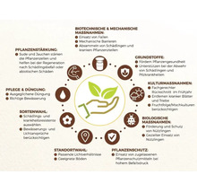 Infografik zeigt verschiedene Maßnahmen zur Pflanzengesundheit und zum ökologischen Pflanzenschutz für eine nachhaltige Gartenpflege.