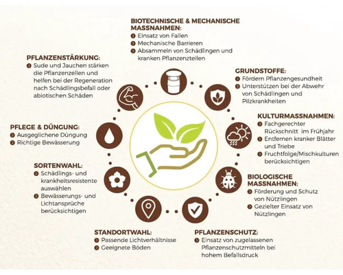 Infografik zeigt verschiedene Maßnahmen zur Pflanzengesundheit und zum ökologischen Pflanzenschutz für eine nachhaltige Gartenpflege.