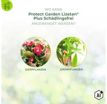 Infografik zur Anwendung von Protect Garden Lizetan Plus Schädlingsfrei bei Zierpflanzen und Grünpflanzen. (Image AI modified or generated)