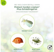 Infografik zur Anwendung von Protect Garden Lizetan Plus Schädlingsfrei gegen Weisse Fliege, Schildlaus und Blattlaus. (Image AI modified or generated)