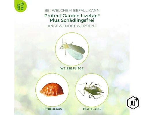 Infografik zur Anwendung von Protect Garden Lizetan Plus Schädlingsfrei gegen Weisse Fliege, Schildlaus und Blattlaus. (Image AI modified or generated)