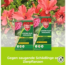 Protect Garden Lizetan Plus Schädlingsfrei gegen saugende Schädlinge an Zierpflanzen in zwei verschiedenen Packungsgrößen. (Image AI modified or generated)