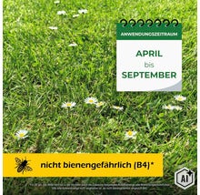 Rasenfläche mit Gänseblümchen, Kalenderanzeige für Anwendungszeitraum April bis September sowie Hinweis nicht bienengefährlich Klasse B4 (Image AI modified or generated)