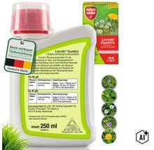 Loredo Quattro Universal Rasenunkrautfrei Unkrautvernichter in der 250 Milliliter Flasche zur Bekämpfung von zweikeimblättrigen Unkräutern im Rasen. (Image AI modified or generated)