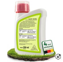 Loredo Quattro Rasenunkrautfrei Unkrautvernichter in der 250 Milliliter Flasche zur Bekämpfung von zweikeimblättrigen Unkräutern im Rasen. (Image AI modified or generated)