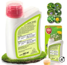 Loredo Quattro Universal Rasenunkrautfrei Unkrautvernichtungsmittel 250 Milliliter Konzentrat zur Bekämpfung von zweikeimblättrigen Unkräutern. (Image AI modified or generated)