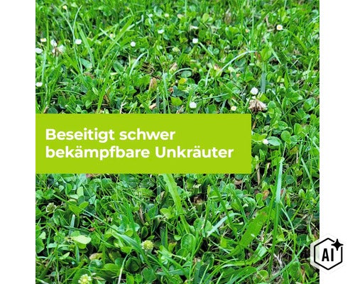 Eine Rasenfläche mit Gras, Klee und Gänseblümchen, dazu ein Textfeld mit dem Hinweis Beseitigt schwer bekämpfbare Unkräuter. (Image AI modified or generated)