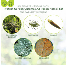 Infografik zeigt Schädlinge und Krankheiten wie Buchsbaumzünsler Blattlaus Zikade Echter Mehltau und Rosenrost für Protect Garden Curamat Kombi Set.
