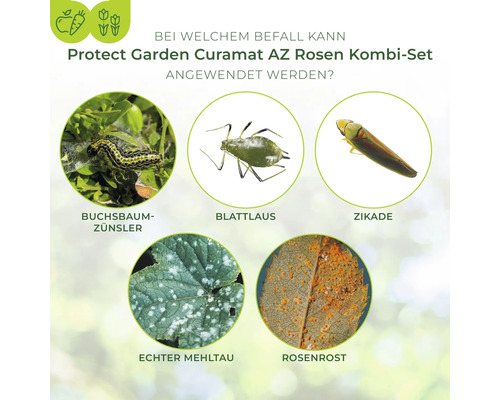 Infografik zeigt Schädlinge und Krankheiten wie Buchsbaumzünsler Blattlaus Zikade Echter Mehltau und Rosenrost für Protect Garden Curamat Kombi Set.