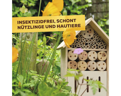 Insektenhotel aus Holz in einem Garten mit Textbanner Insektizidfrei schont Nützlinge und Haustiere