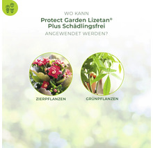 Infografik zur Anwendung von Protect Garden Lizetan Plus Schädlingsfrei bei Zierpflanzen und Grünpflanzen.