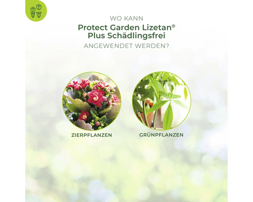 Infografik zur Anwendung von Protect Garden Lizetan Plus Schädlingsfrei bei Zierpflanzen und Grünpflanzen.