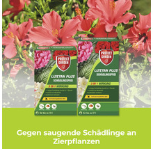 Protect Garden Lizetan Plus Schädlingsfrei gegen saugende Schädlinge an Zierpflanzen in zwei verschiedenen Packungsgrößen.
