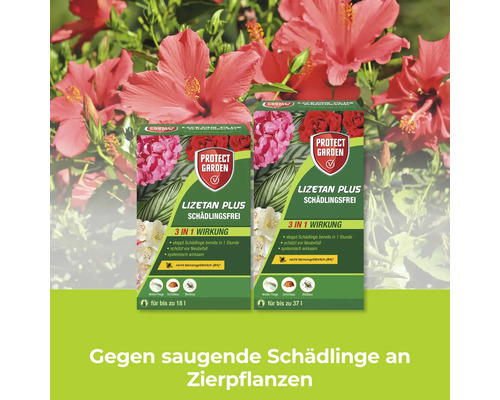 Protect Garden Lizetan Plus Schädlingsfrei gegen saugende Schädlinge an Zierpflanzen in zwei verschiedenen Packungsgrößen.
